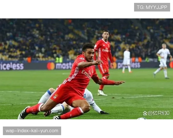 弗赖堡双后腰拦截出色 罗森菲尔德伤缺影响防守深度